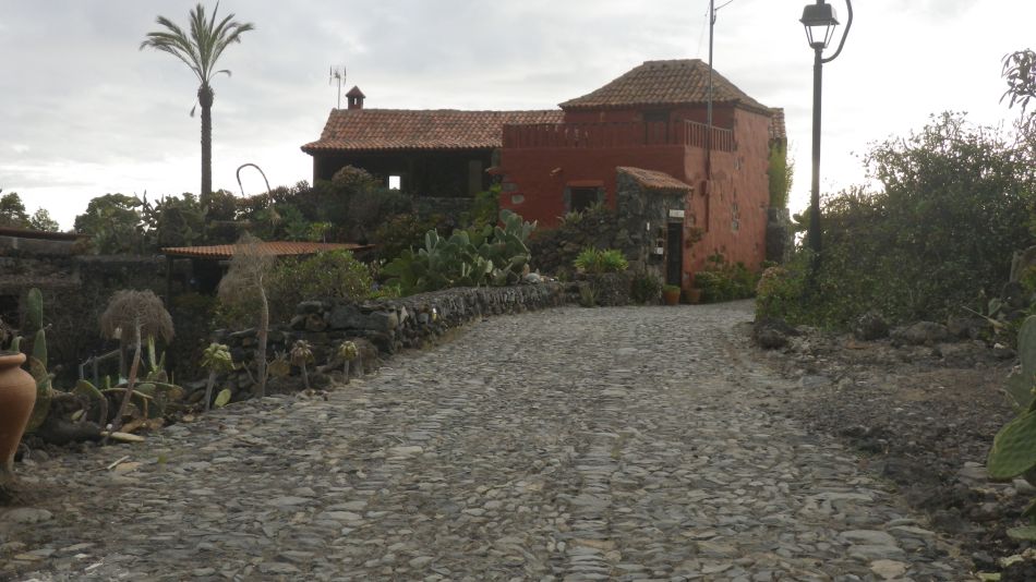 2020-01-25 06 Walk 16 Chiguergue.jpg