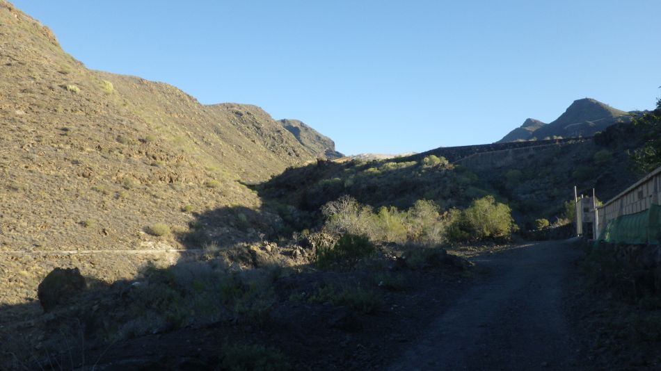 2020-01-26 07 Walk 17 Tamaimo Valley.jpg