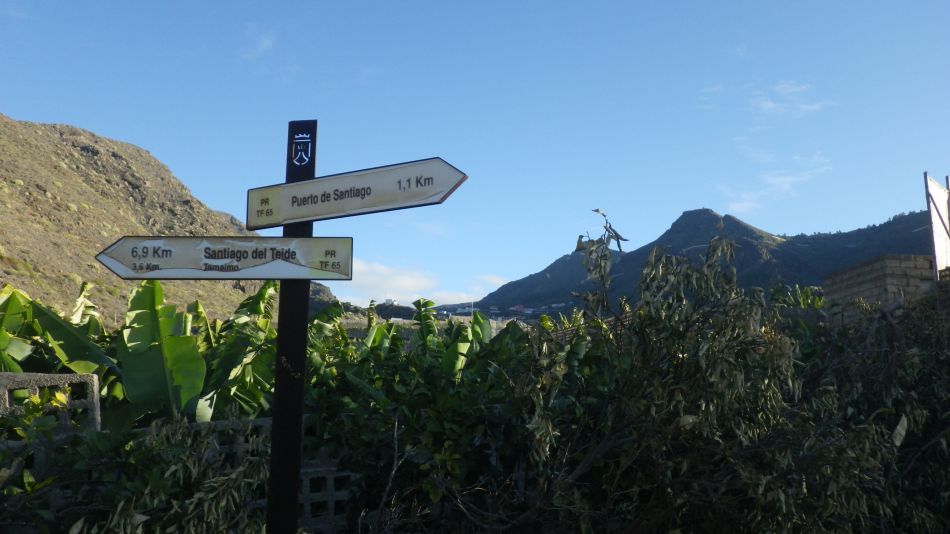 2020-01-26 08 Walk 17 Tamaimo Valley.jpg