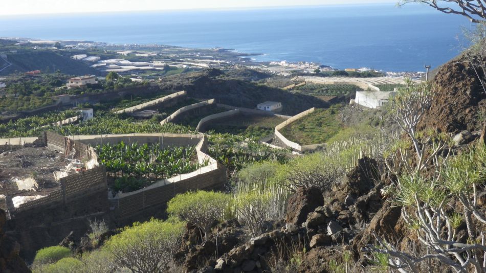 2020-01-26 13 Walk 17 Tamaimo Valley.jpg