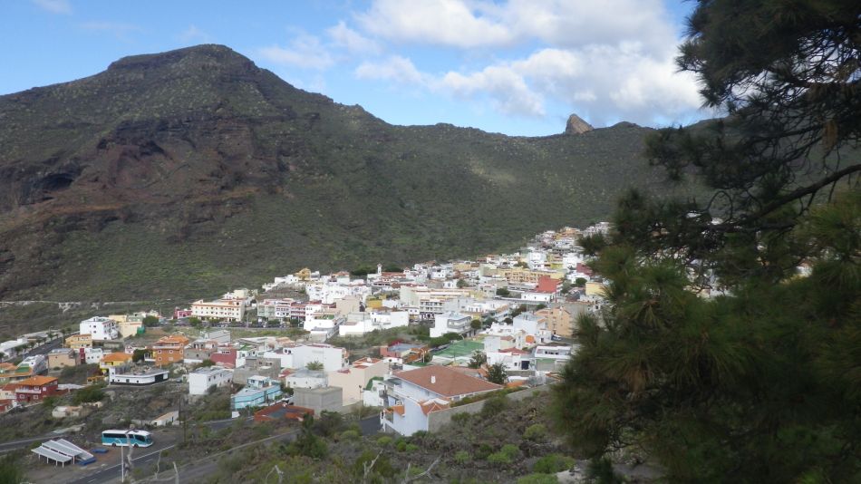 2020-01-26 19 Walk 17 Tamaimo.jpg