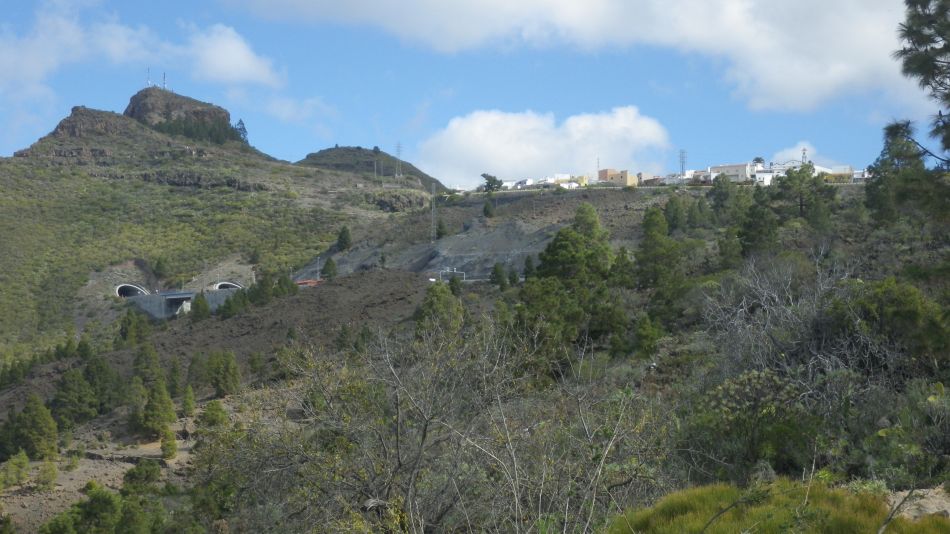 2020-01-26 25 Walk 17 Arguayo and TF-1.jpg