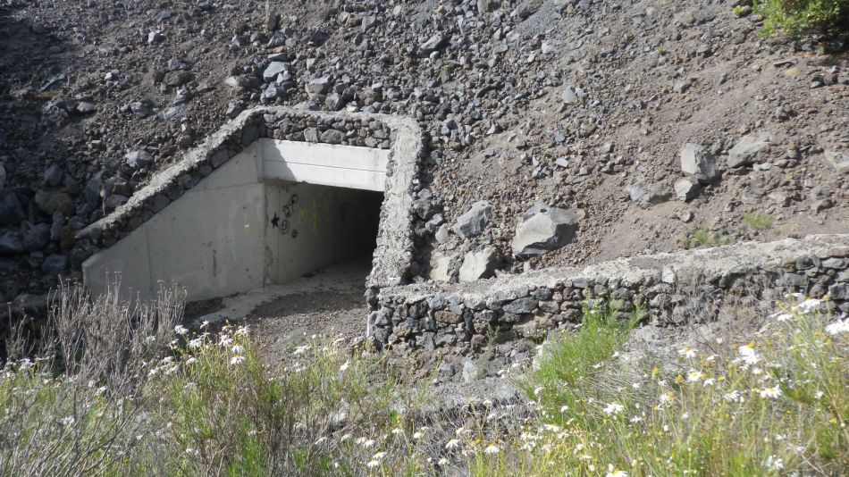 2020-01-26 26 Walk 17 Footpath Tunnel under TF-1.jpg