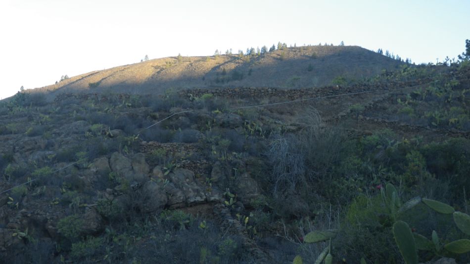 2020-01-28 02 Walk 18 Vera de Erques to Guia De Isora.jpg