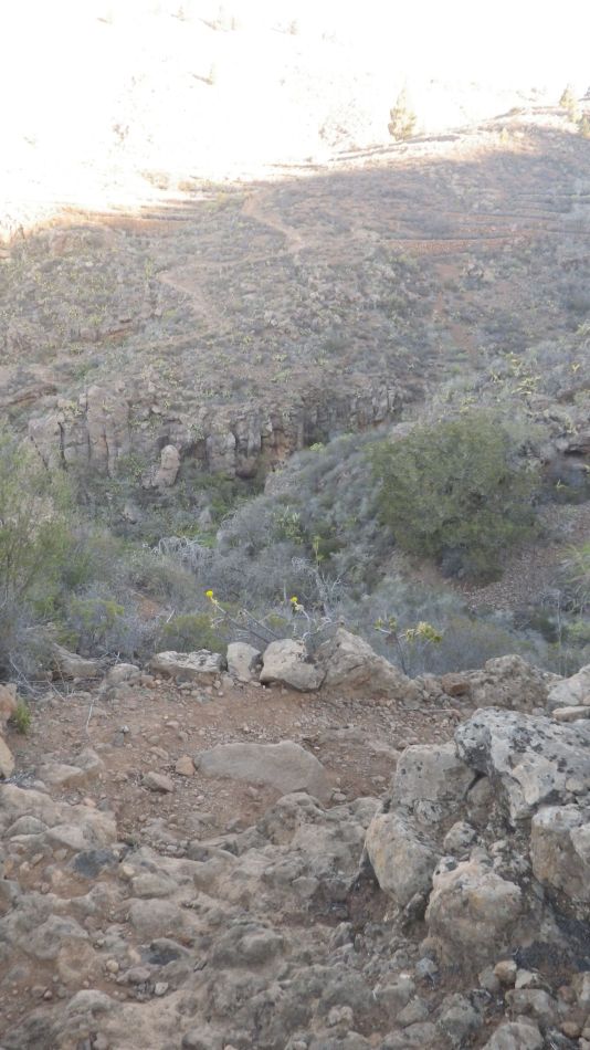 2020-01-28 03 Walk 18 Vera de Erques to Guia De Isora.jpg