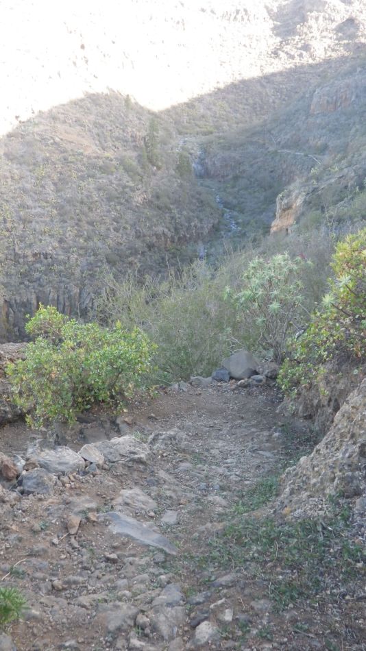 2020-01-28 19 Walk 18 Vera de Erques to Guia De Isora.jpg