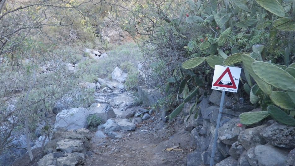 2020-01-28 28 Walk 18 Vera de Erques to Guia De Isora.jpg