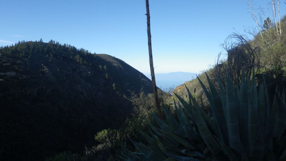 2020-01-28 30 Walk 18 Vera de Erques to Guia De Isora.jpg