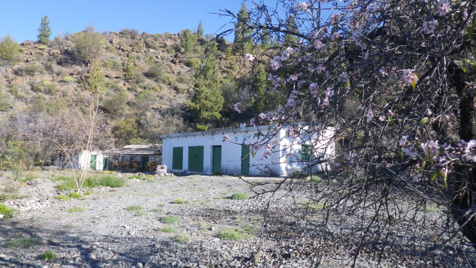 2020-02-02 04 Walk 21 Morra del Pinar.jpg