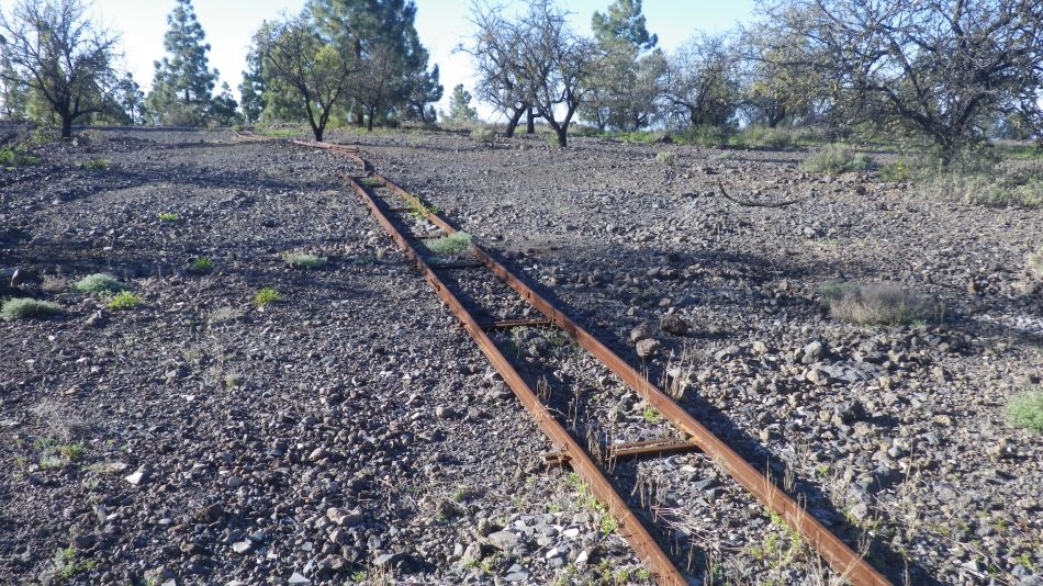 2020-02-02 07 Walk 21 Morra del Pinar.jpg