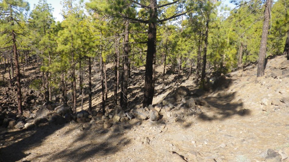 2020-02-02 11 Walk 21 Morra del Pinar.jpg