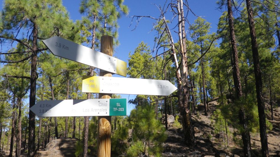 2020-02-02 12 Walk 21 Morra del Pinar.jpg