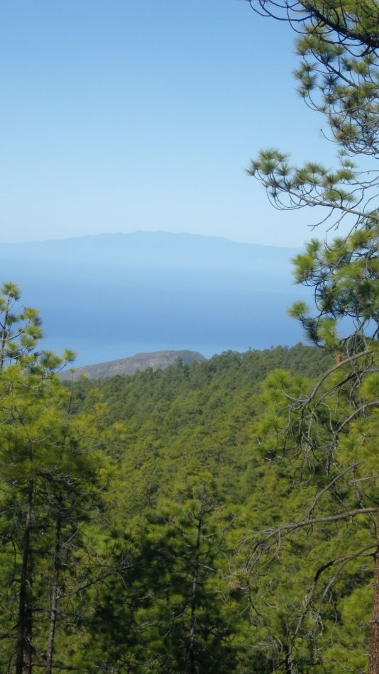 2020-02-02 13 Walk 21 Morra del Pinar.jpg