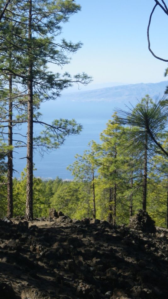 2020-02-02 14 Walk 21 Morra del Pinar.jpg