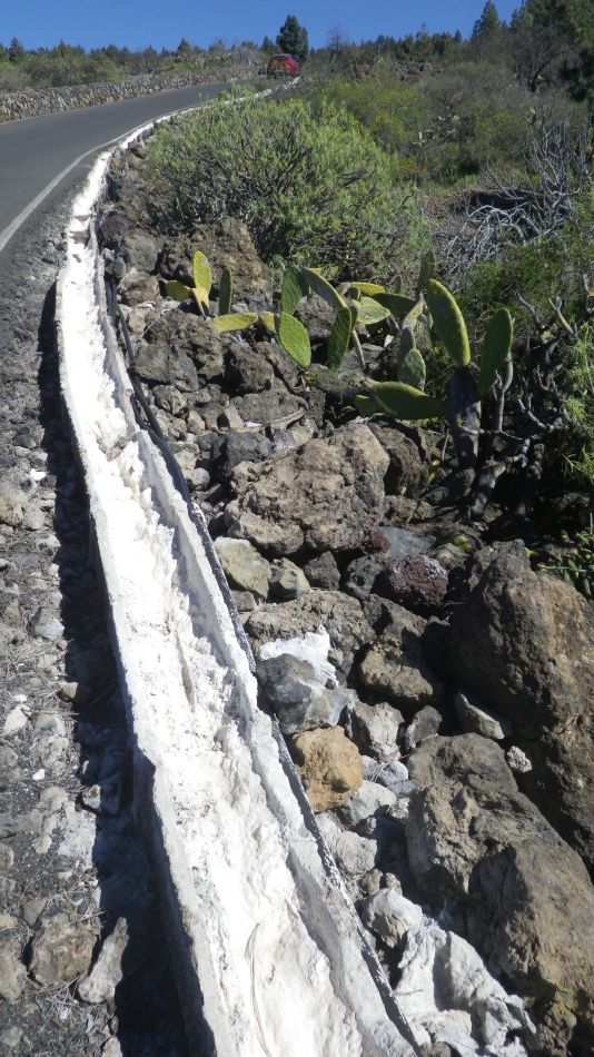 2020-02-02 16 Walk 21 Morra del Pinar.jpg