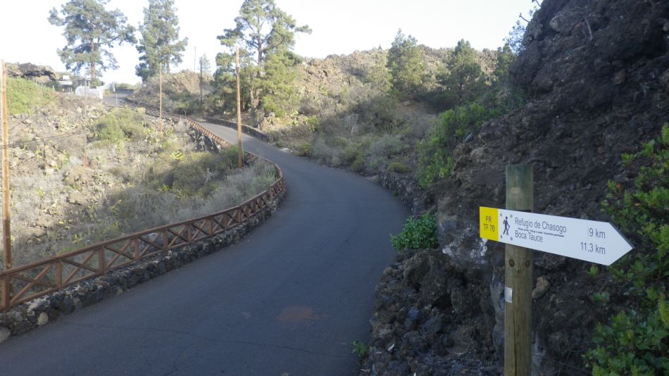 2020-02-05 04 Walk 24 Sign Post and Path.jpg