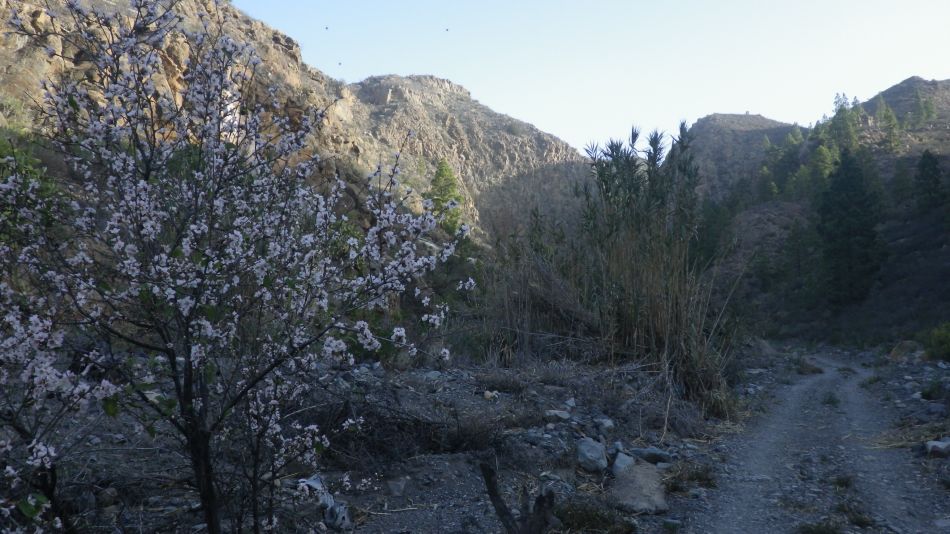 2020-02-05 06 Walk 24 Road and Barranco.jpg