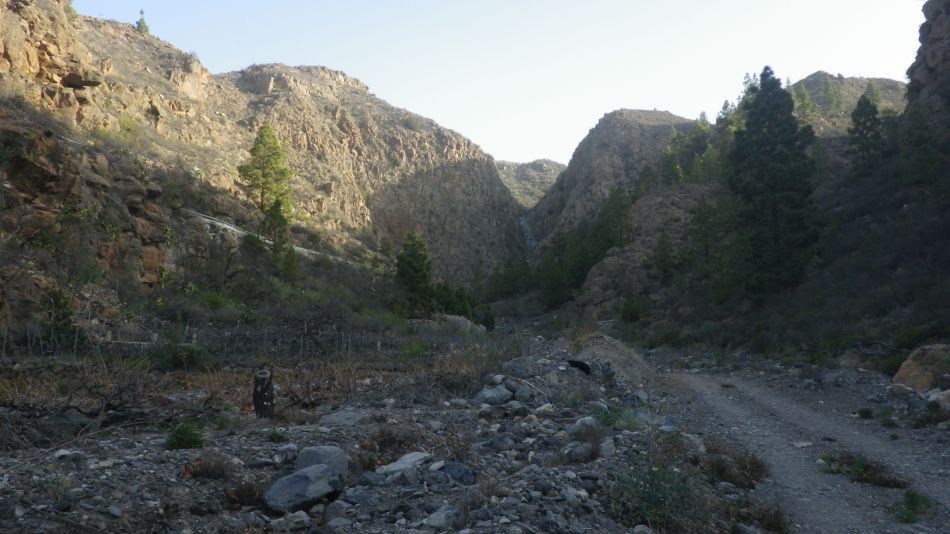 2020-02-05 07 Walk 24 Road and Barranco.jpg