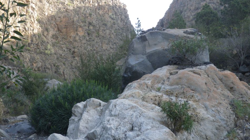 2020-02-05 14 Walk 24 Galeria Machado Barranco.jpg