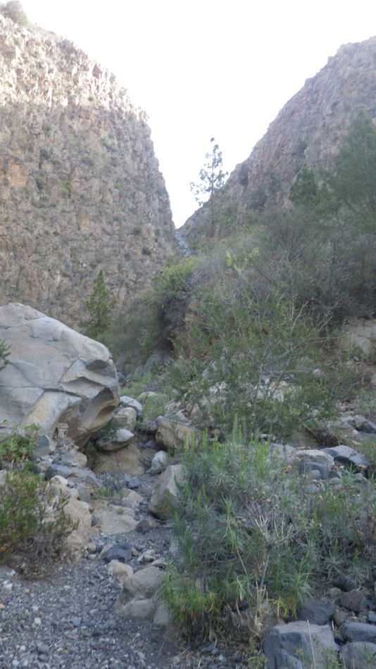 2020-02-05 15 Walk 24 Galeria Machado Barranco.jpg