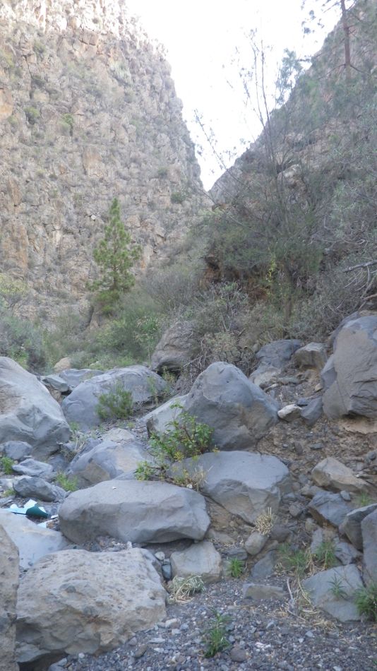 2020-02-05 16 Walk 24 Galeria Machado Barranco.jpg