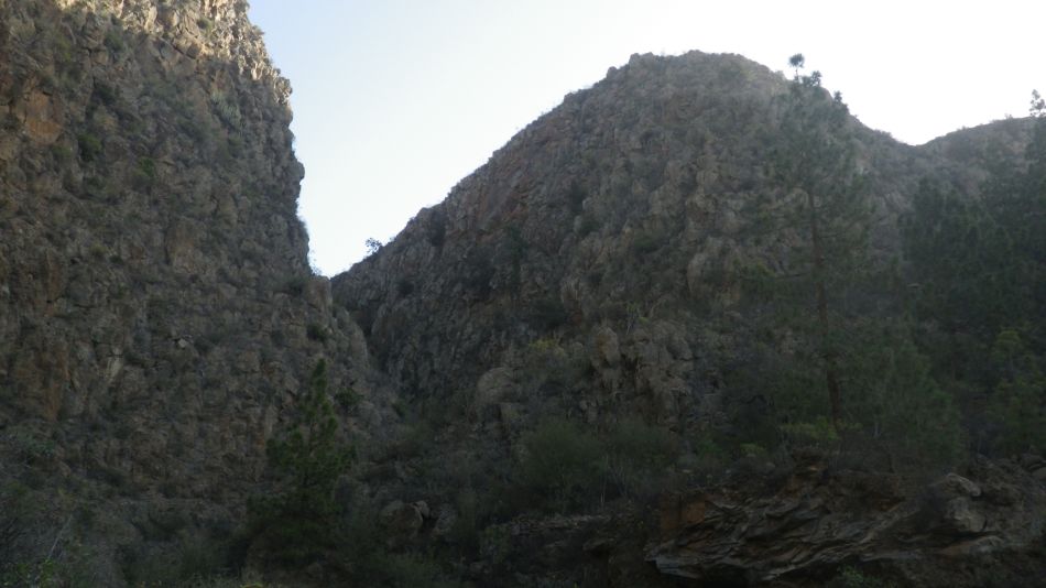 2020-02-05 24 Walk 24 Galeria Machado Barranco.jpg