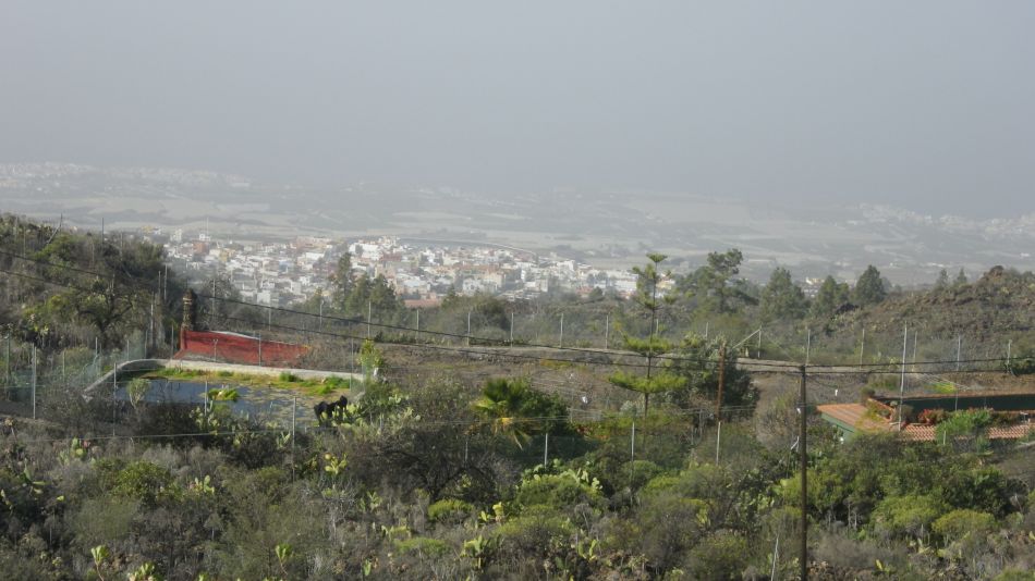 2020-02-05 25 Walk 24 Calima Dry Fog Nasty.jpg