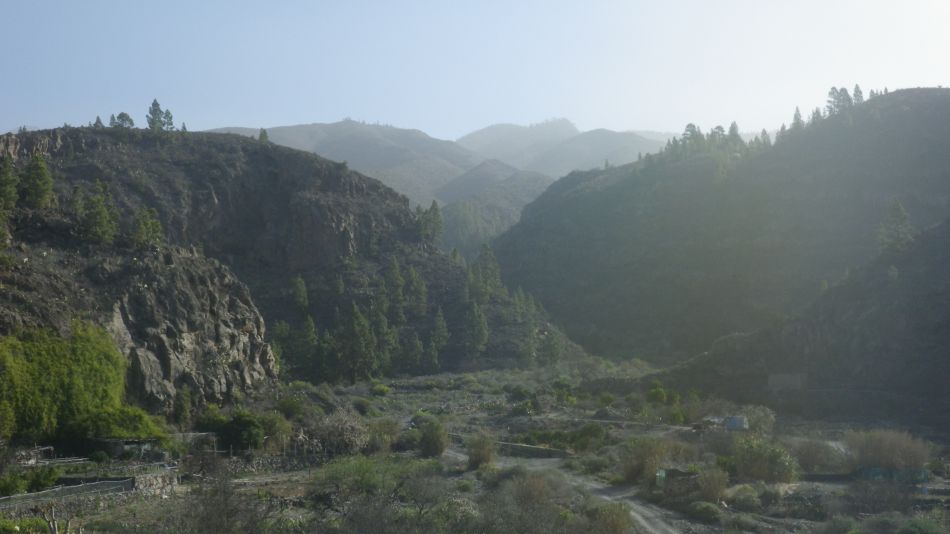 2020-02-05 26 Walk 24 Calima Dry Fog Nasty.jpg