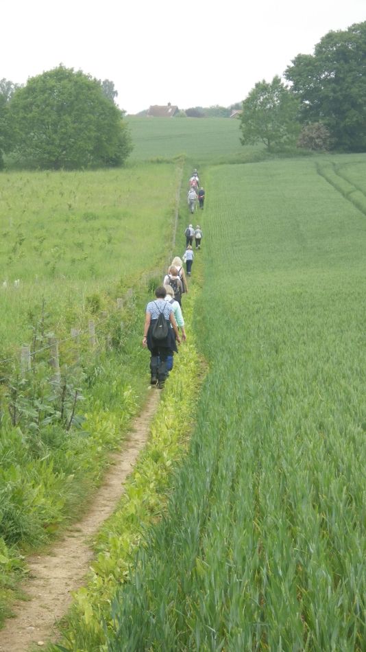 2018-05-30 09 Rockland St Mary.jpg