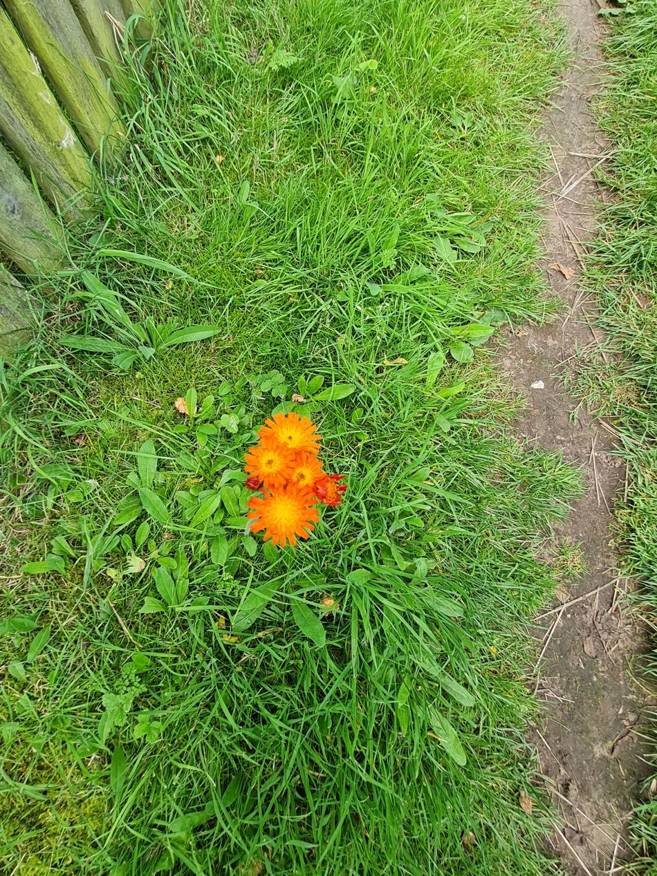 2023-08-23 08 Rockland and Claxton.jpg