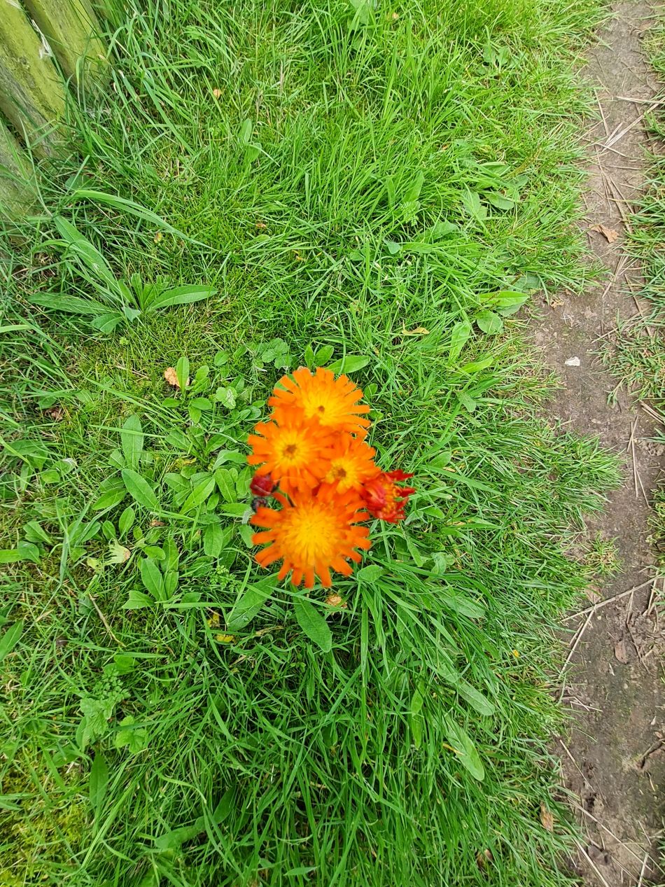 2023-08-23 09 Rockland and Claxton.jpg