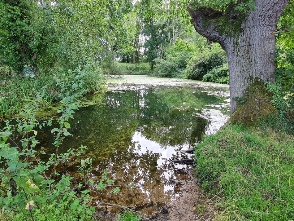 2023-08-23 10 Rockland and Claxton.jpg