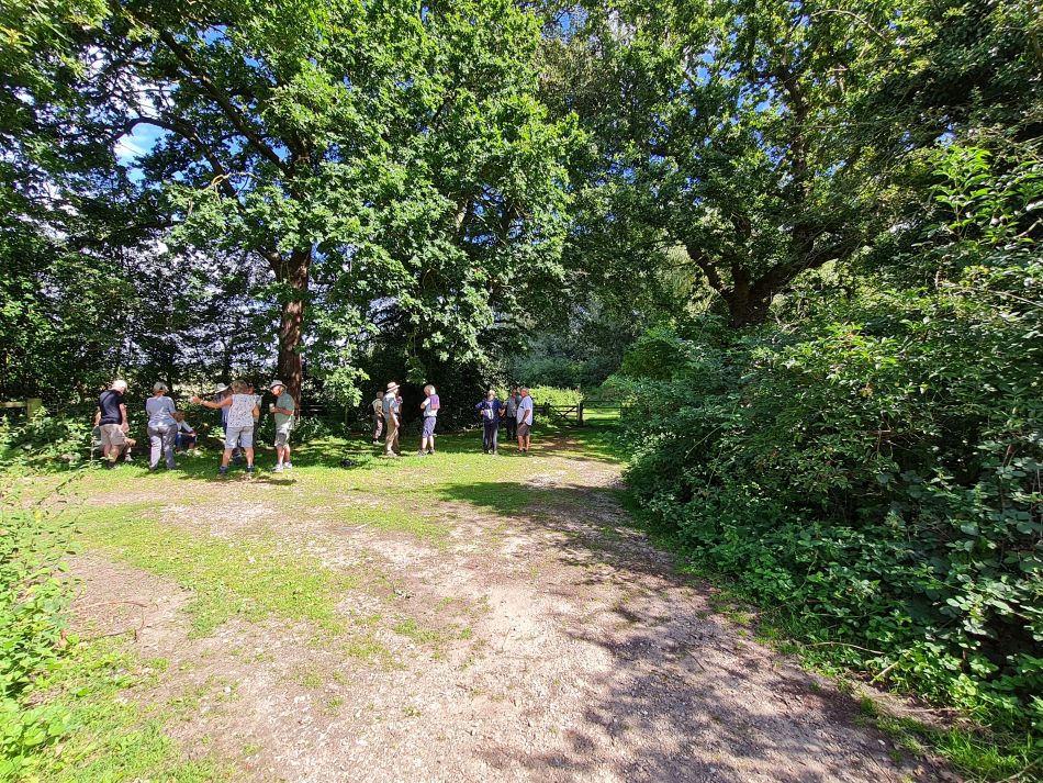 2023-08-23 14 Rockland and Claxton.jpg