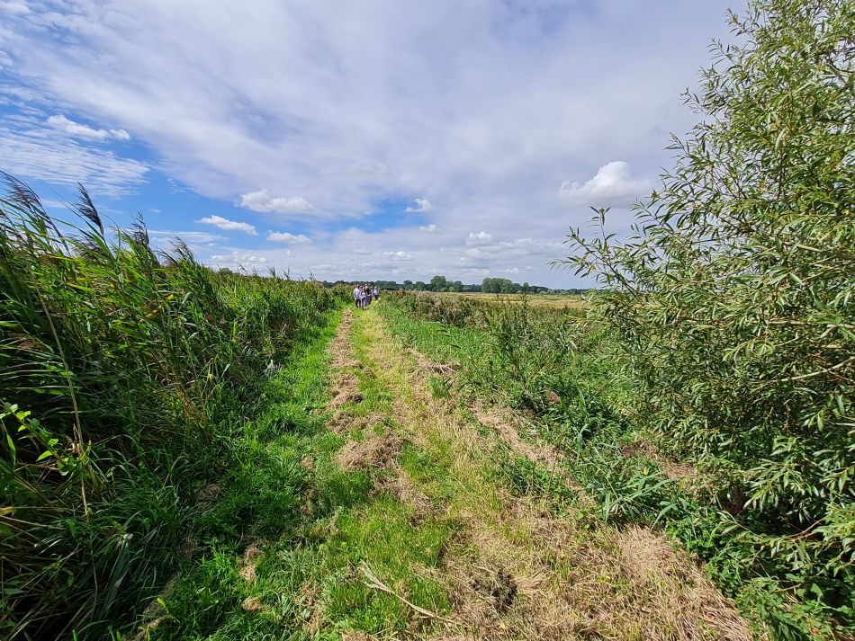 2023-08-23 15 Rockland and Claxton.jpg