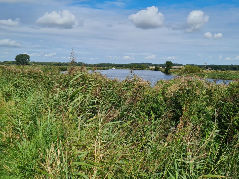 2023-08-23 17 Rockland and Claxton.jpg