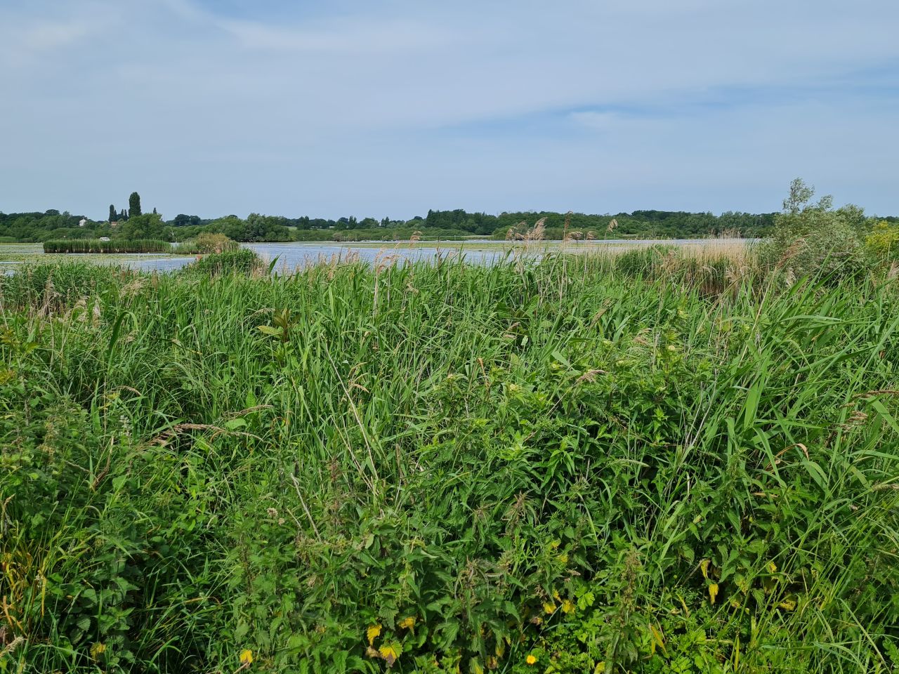 2025-06-17 04 Rockland Saint Mary.jpg