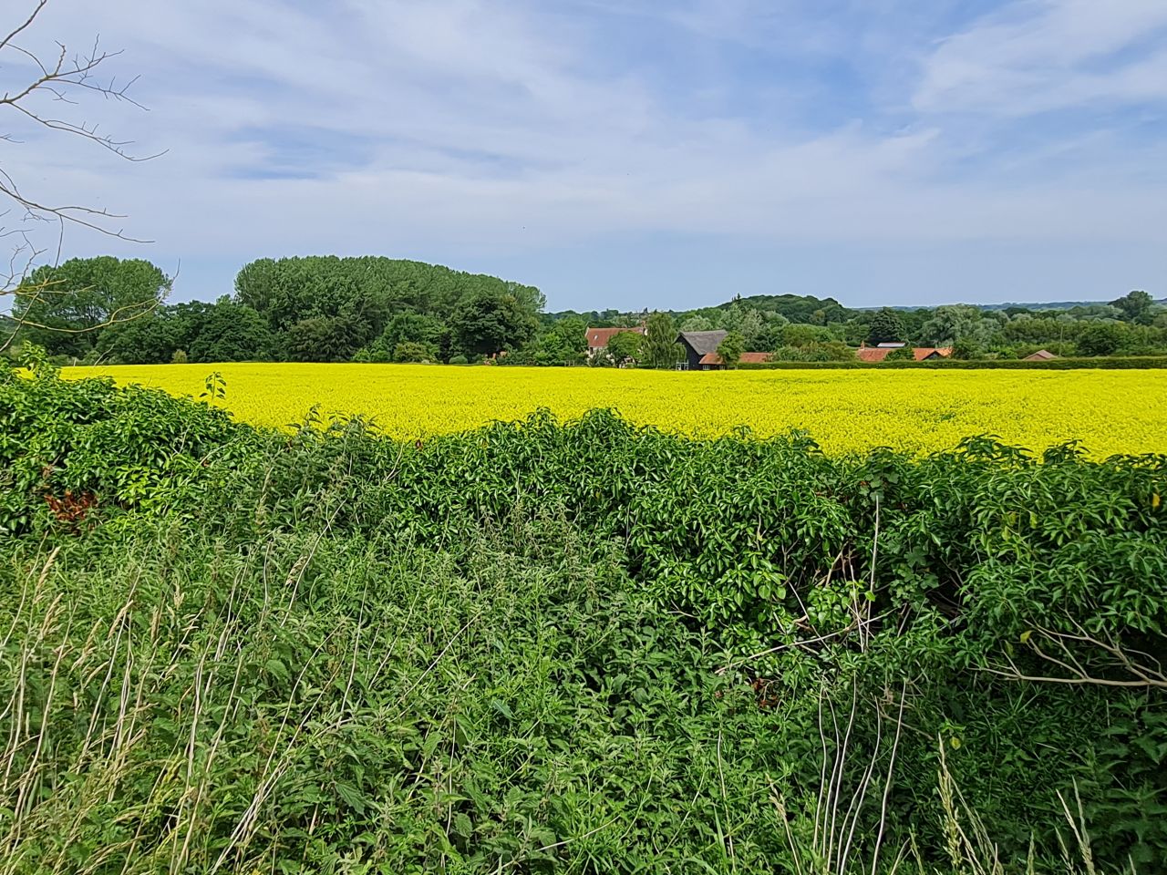 2025-06-17 11 Rockland Saint Mary.jpg