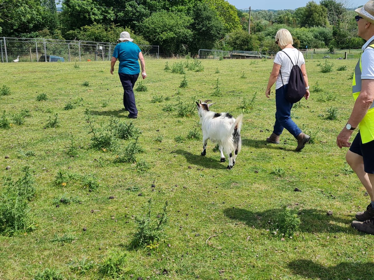 2025-06-17 14 Rockland Saint Mary.jpg