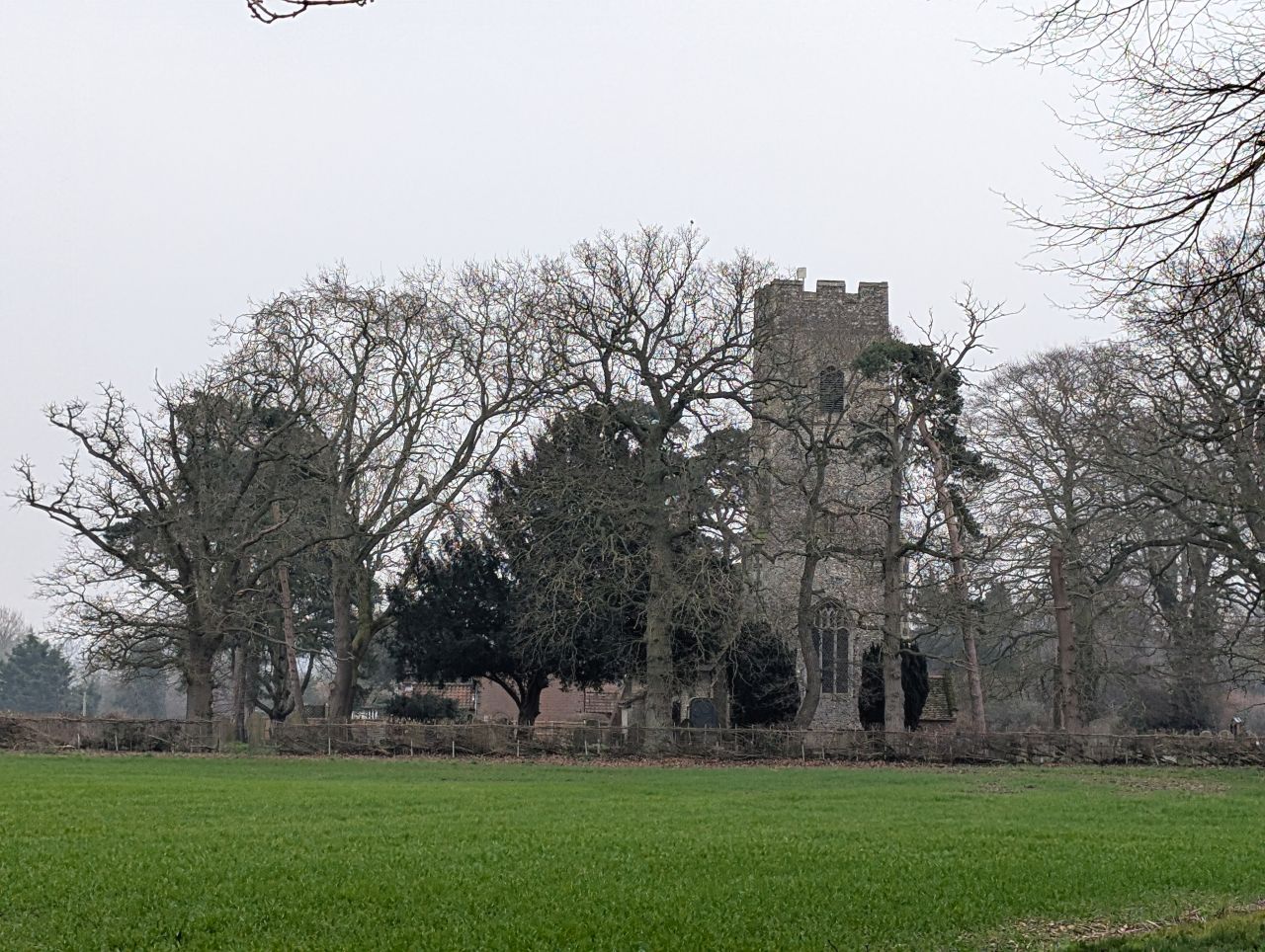 2026-02-03 03 Ashby Saint Mary.jpg