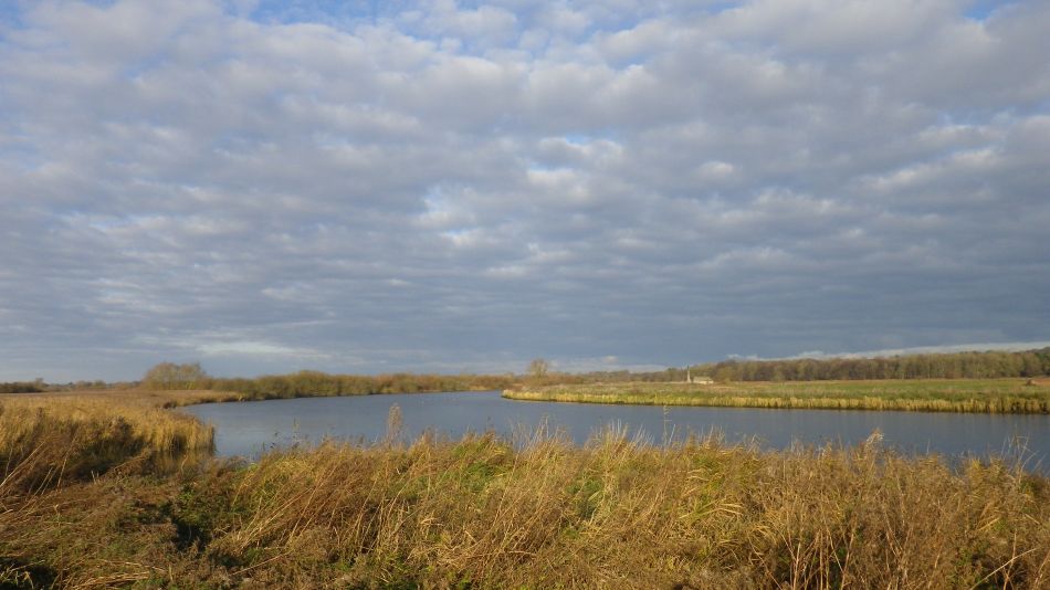 2018-12-12 09 Ashby St Mary and Claxton.jpg