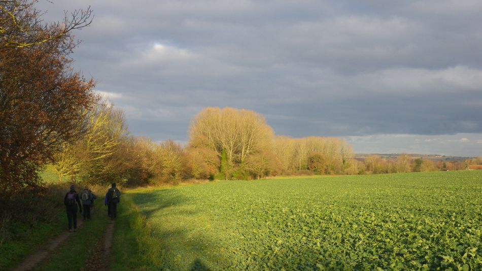 2018-12-12 13 Ashby St Mary and Claxton.jpg