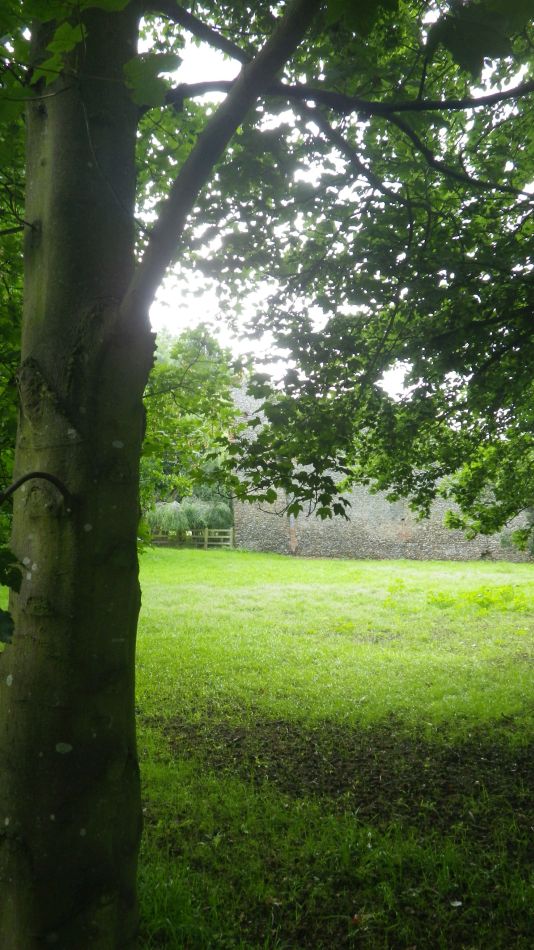 2019-06-20 01 Waveney Way 8 - Bungay South.jpg