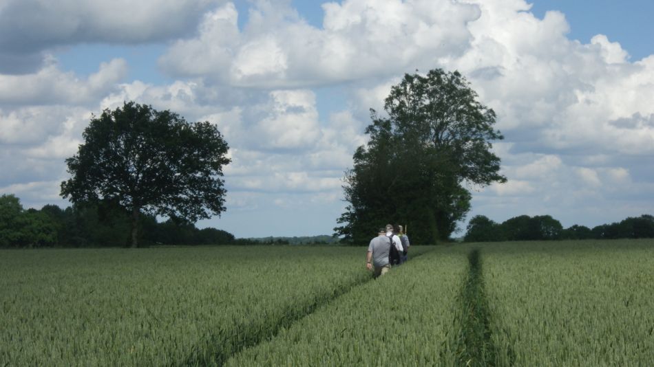 2019-06-20 06 Waveney Way 8 - Bungay South.jpg