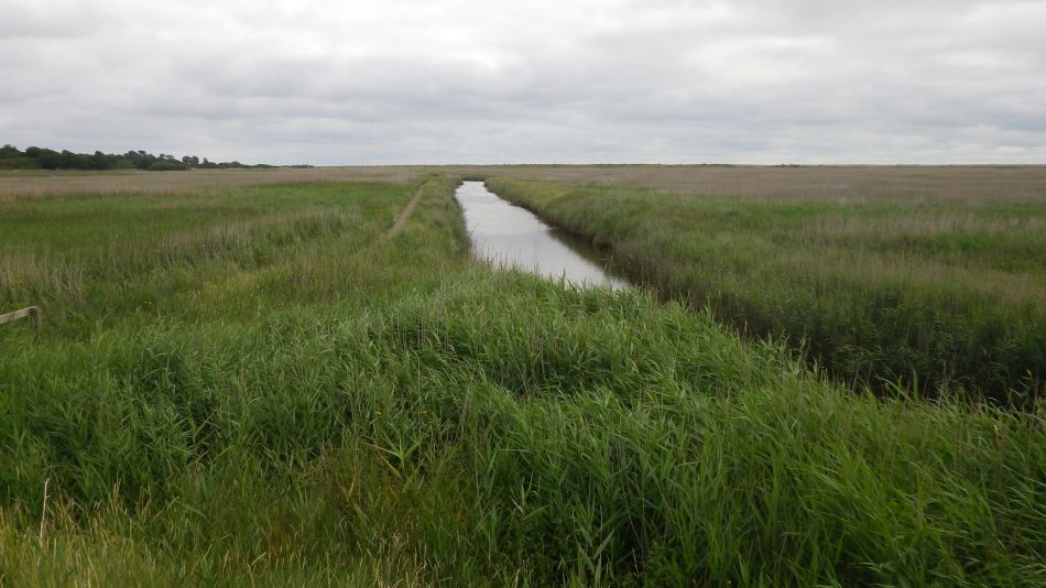 2017-07-30 06 Great Yarmouth Group visits Walberswick Hoist Covert.jpg