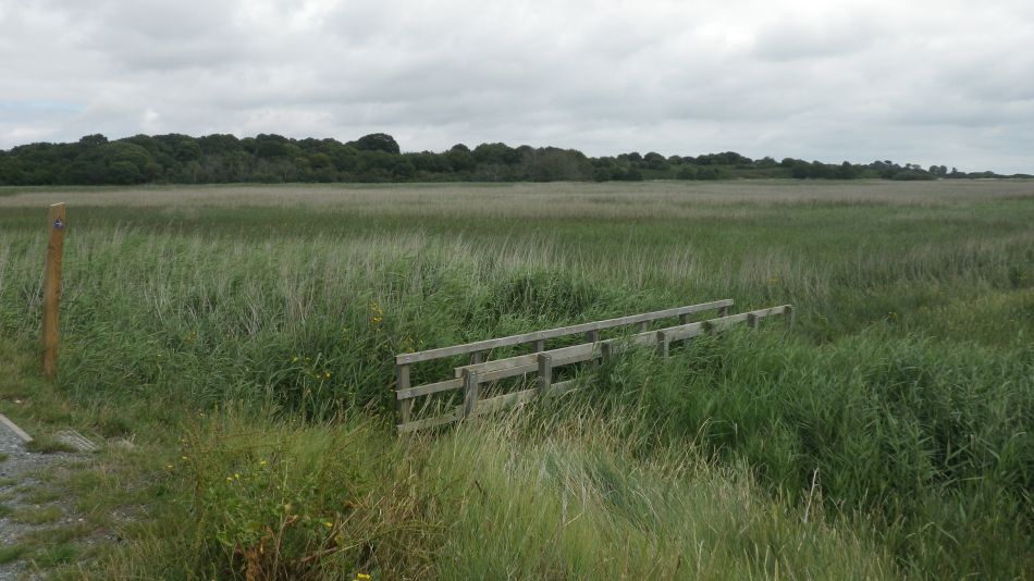 2017-07-30 07 Great Yarmouth Group visits Walberswick Hoist Covert.jpg