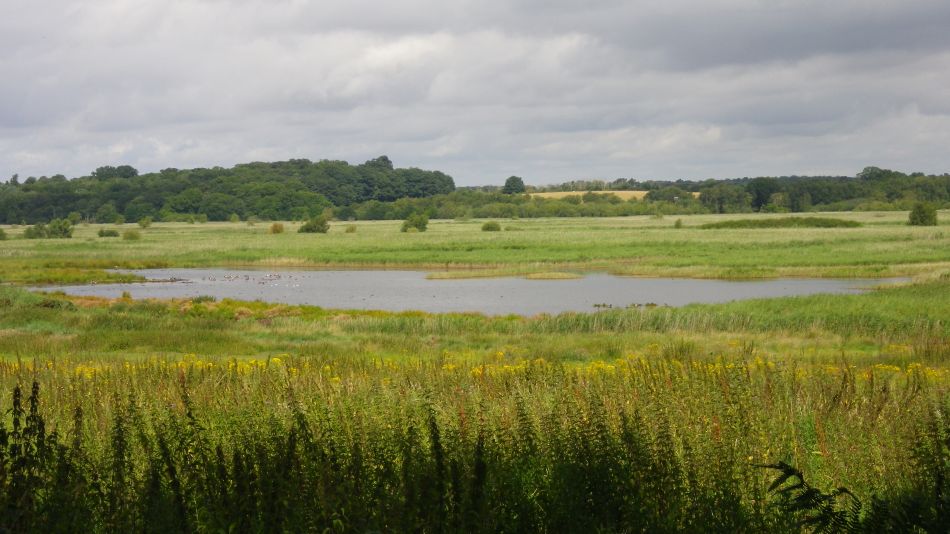 2017-07-30 10 Great Yarmouth Group visits Walberswick Hoist Covert.jpg