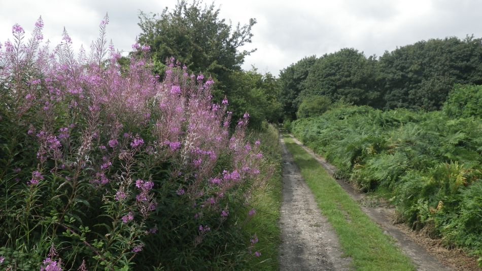 2017-07-30 11 Great Yarmouth Group visits Walberswick Hoist Covert.jpg