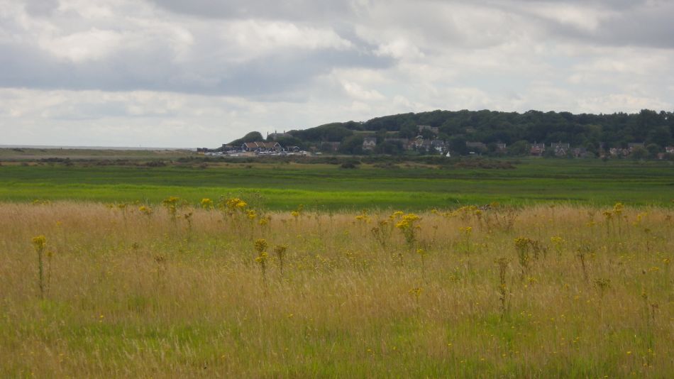 2017-07-30 12 Great Yarmouth Group visits Walberswick Hoist Covert.jpg