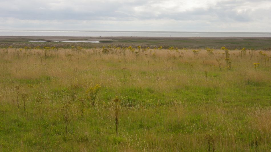 2017-07-30 13 Great Yarmouth Group visits Walberswick Hoist Covert.jpg