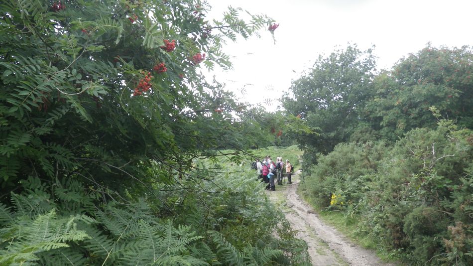 2017-07-30 26 Great Yarmouth Group visits Walberswick Hoist Covert.jpg